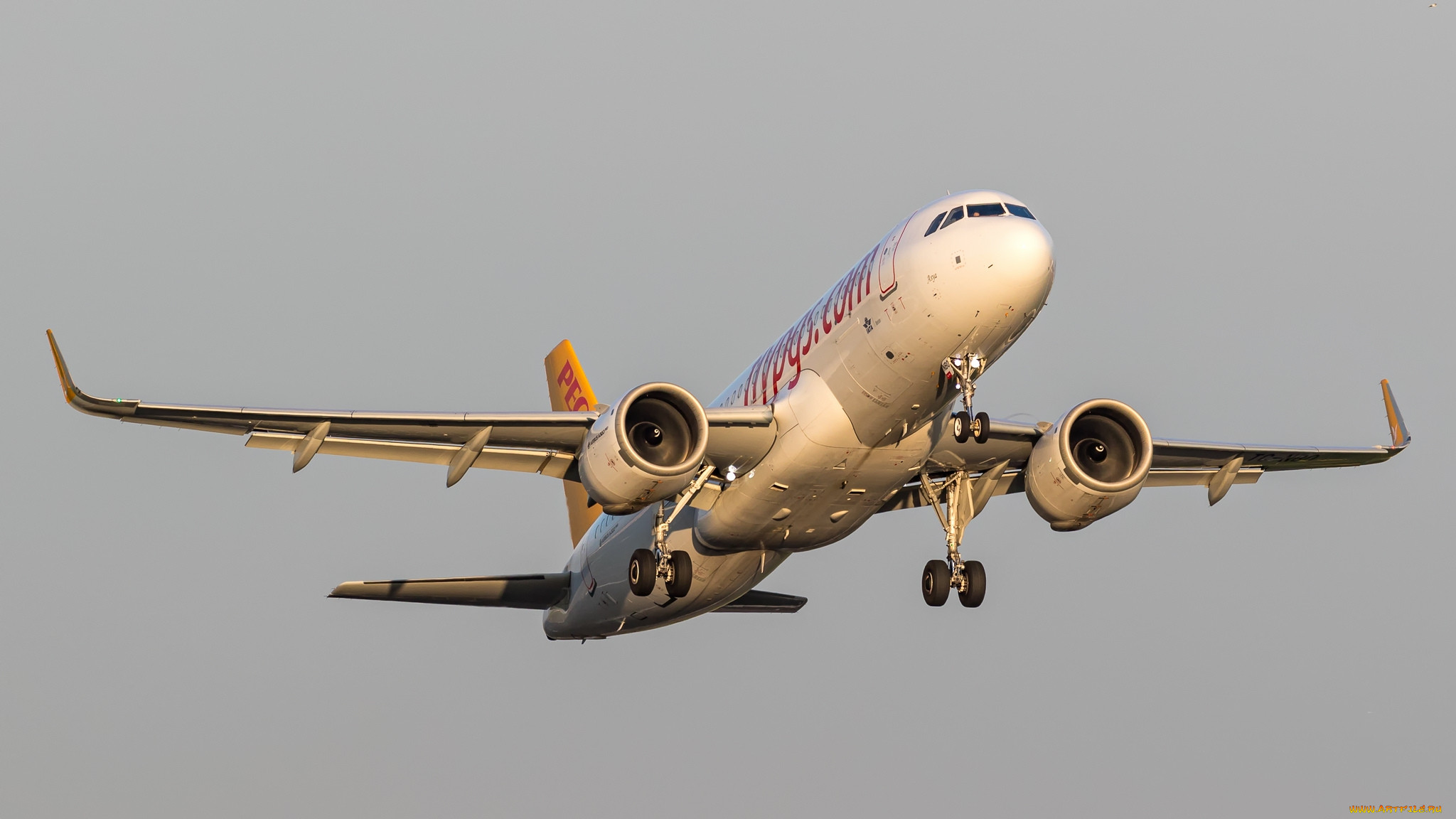 a320neo, ,  , 